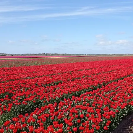 Lovely City Center * Alkmaar