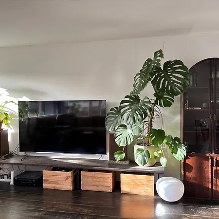 Apartment Lovely Center *