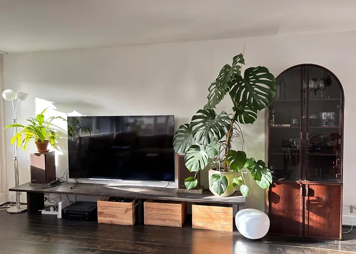 Apartment Lovely Center *