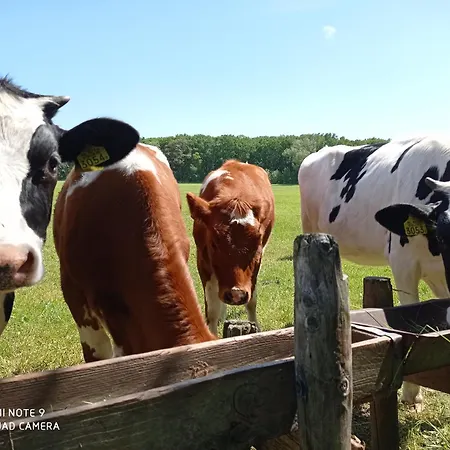 Lovely City Center * Alkmaar
